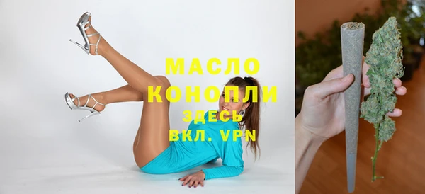 амф Горняк