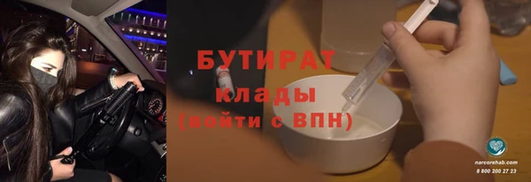 индика Гусиноозёрск