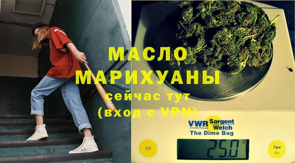 амф Горняк